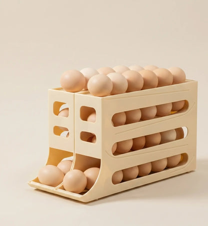 ORGANIZADOR DE OVOS