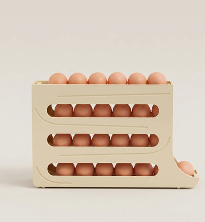 ORGANIZADOR DE OVOS