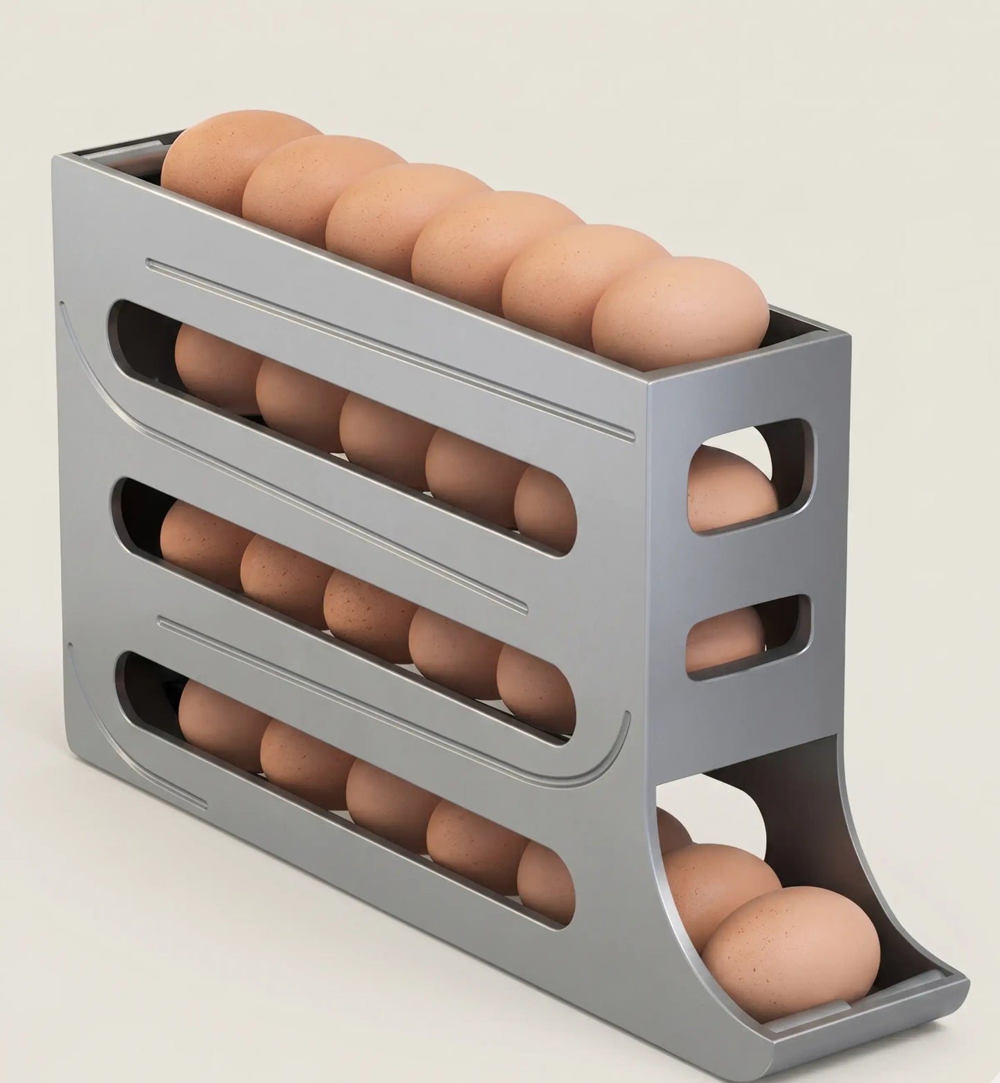 ORGANIZADOR DE OVOS