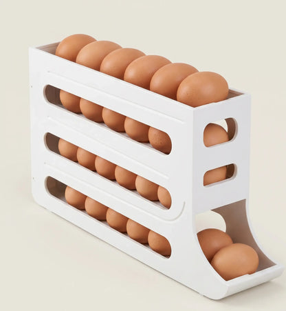 ORGANIZADOR DE OVOS
